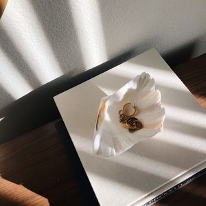 Shell jewelry dish